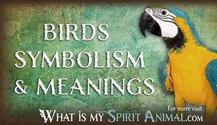 Image result for Predation of Birds Symbol