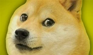 Image result for Glue Doge