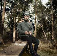 Image result for Nicholas II Fitness