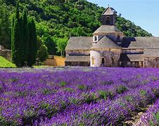 Image result for La Bella Provence France