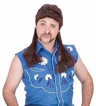 Image result for Mullet Wig