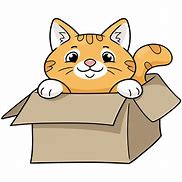 Image result for Silly Cat in Box