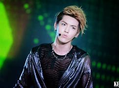 Image result for Kris Exo