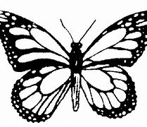 Image result for Butterfly Clip Art Black and White Outline