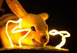 Image result for Real Life Pikachu Animal