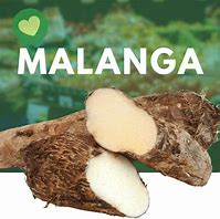 Image result for Malanga vs Taro