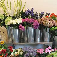 Image result for Flower Bucket Pot