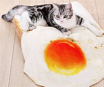 Image result for Bread Cat Bed