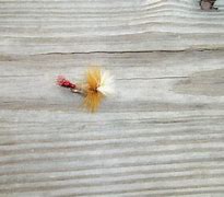 Image result for Fly Fishing with Poppers for Bluegills