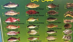 Image result for Ikan Laut Malaysia