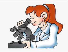 Image result for Science Microscope Clip Art