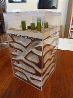 Image result for Ant Farm Pet