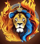 Image result for Fire and Ice Lion