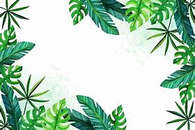 Image result for Tropical Leaves Background Logo