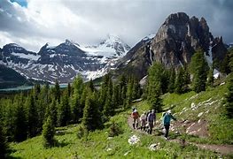 Image result for Activities to Do in Banff