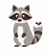 Image result for Raccoon Cue