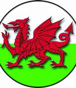 Image result for Welsh Dragon Flag