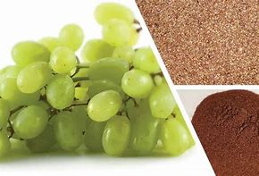 Image result for Grape Seed Lil