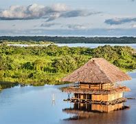 Image result for Peru People Selva