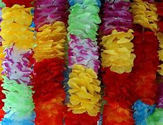 Image result for Hawaiian Flower Lei