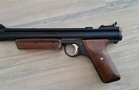 Image result for Multi-Pump Pellet Pistol