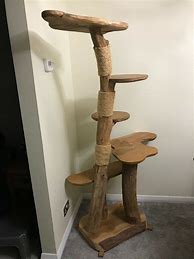 Image result for Wood Cat Tree