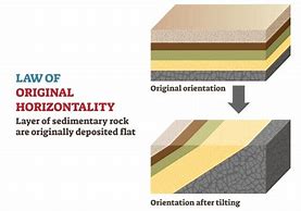 Image result for Original Horizontality Diagram