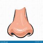 Image result for Cartoon Nose Profile