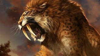 Image result for Feman Sabertooth