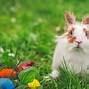 Image result for Funny Easter Religious