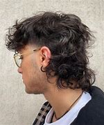 Image result for wolf cut curly hair men