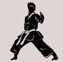 Image result for Front Kick Taekwondo