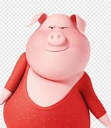 Image result for Sing 2 Pig