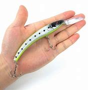 Image result for Fake Minnow Fishing Set Up