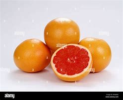 Image result for Citrus Grapefruit Australia