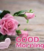 Image result for Good Morning Orange Flowers