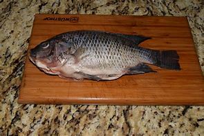 Image result for Spoilt Tilapia Fish