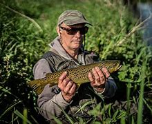 Image result for Dry Fly Fishing