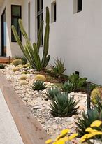 Image result for Desert Garden Design Ideas