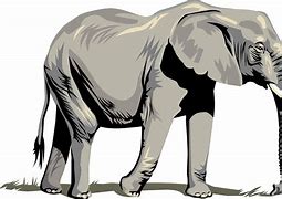 Image result for Free Png Elephant Clip Art