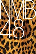 Image result for NMB48 Logo