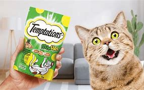 Image result for Cat Appetite Stimulant