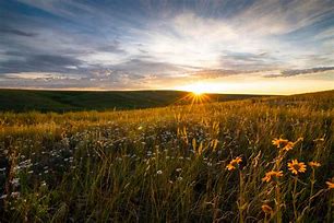 Image result for Prairies North America