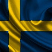 Image result for Det Svenske Flag