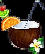 Image result for Coconut Water Electrolytes