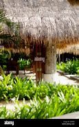 Image result for Interior Side Thatch Roof