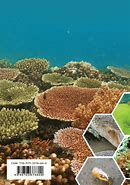 Image result for Biodiversitas Laut HD