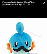 Image result for Pokemon Doll Pokemon Fit Dig