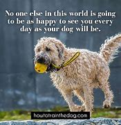 Image result for Happy Dog Sayins