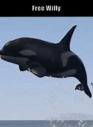 Image result for Free Willy Funny